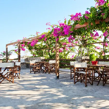 Stefano Apartment Naousa (Paros)